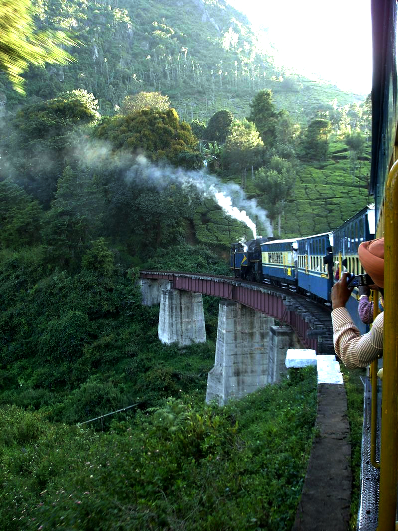 Running after The Darjeeling Limited train painting - Wes Anderson