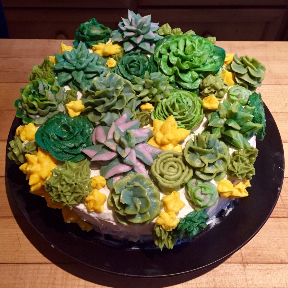 succulentcake