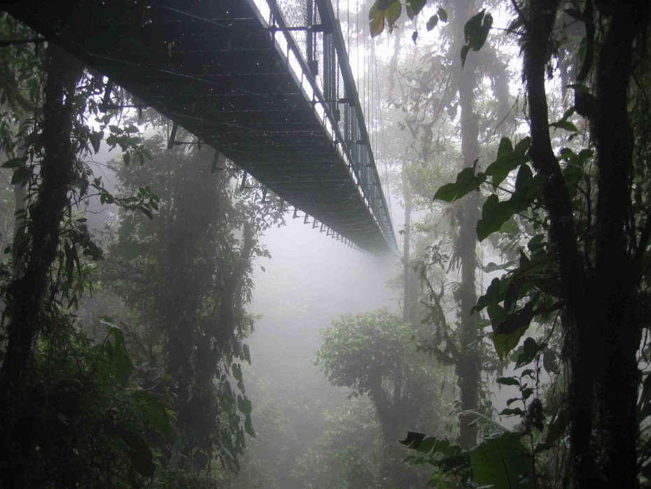 Costa_rica_santa_elena_skywalk