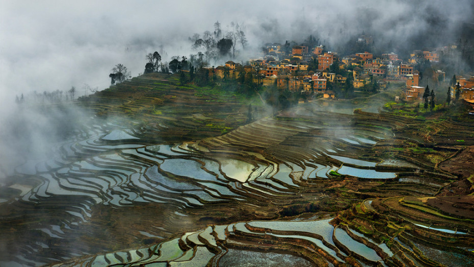 Thierry_Bornier_001-1024x576