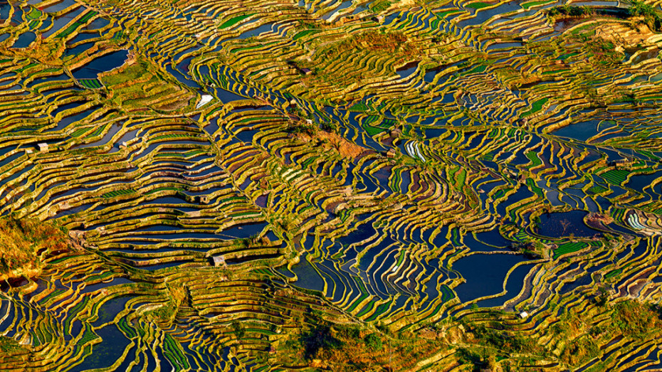 Thierry_Bornier_006-1024x576