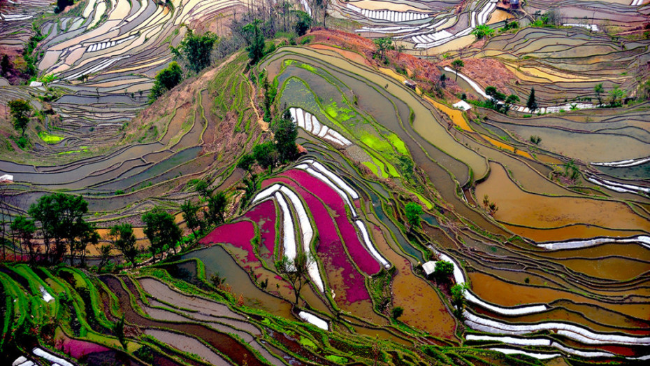 Thierry_Bornier_009-1024x576