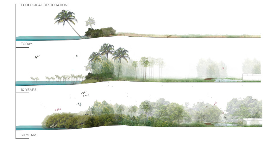 ecological-restoration-section-illustration