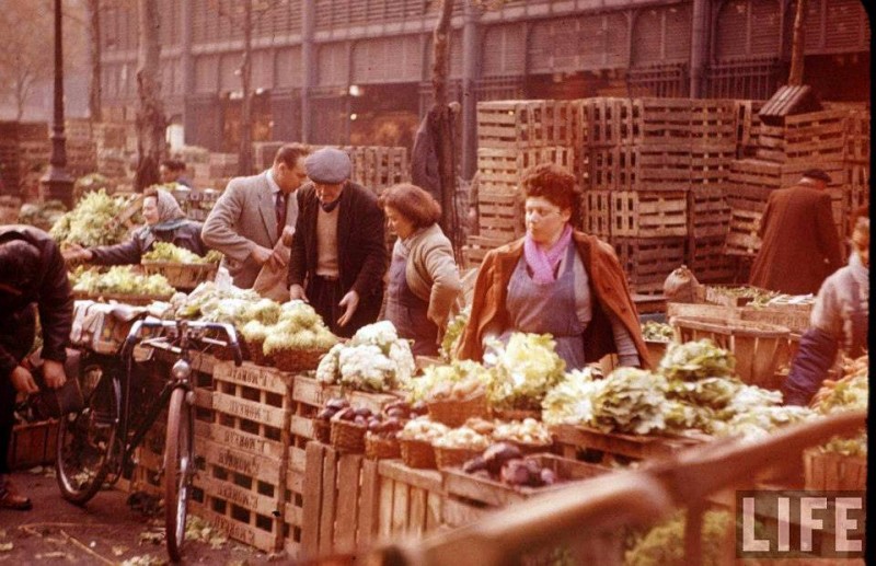 leshalles1