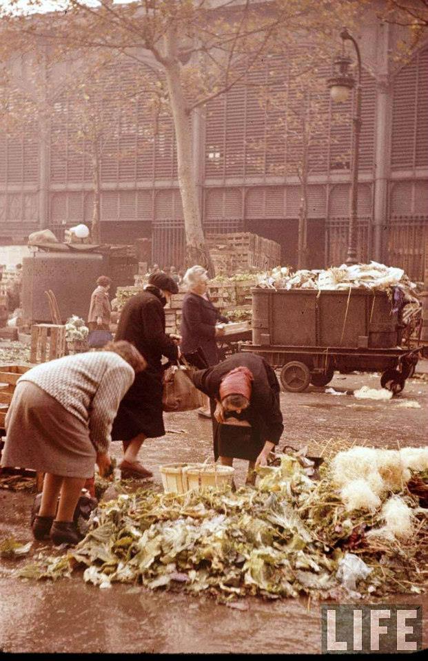 leshalles10