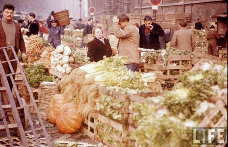 leshalles14