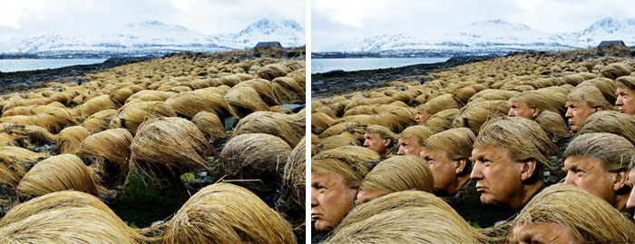 trumphair2