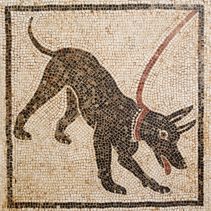 Cave_canem_MAN_Napoli_Inv110666