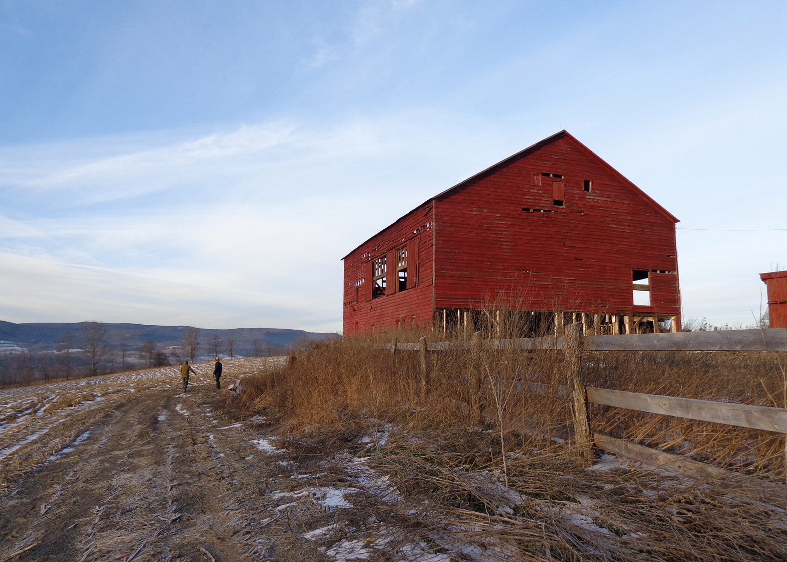 transitional-object-psychobarn-cornelia-parker-met-roof-garden-installation-new-york-usa_dezeen_1568_5