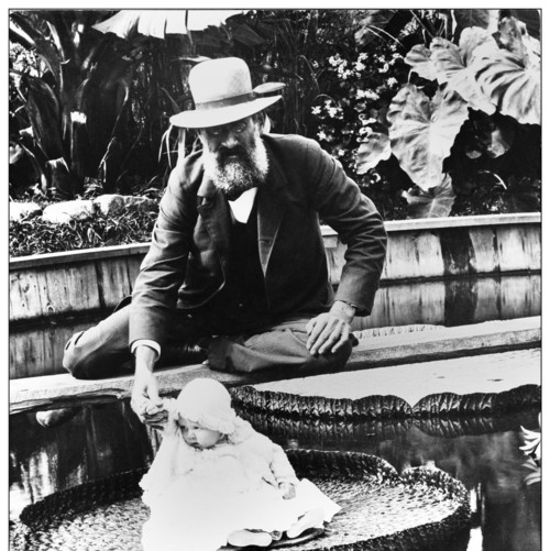 Baby on a water lily (Victoria amazonica), n.d.