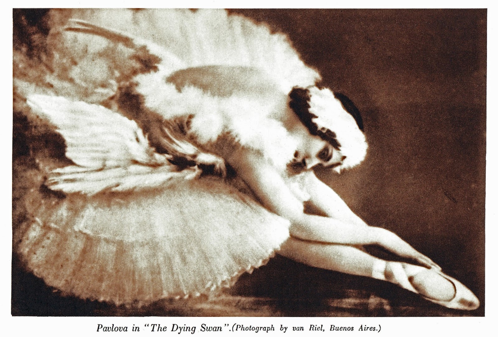 Dying Swan 2