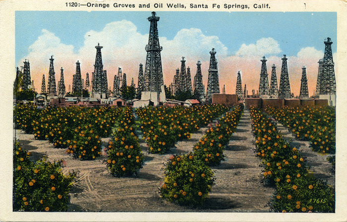 Orange_Groves_and_Oil_Wells_Santa_Fe_Springs_Calif_1120