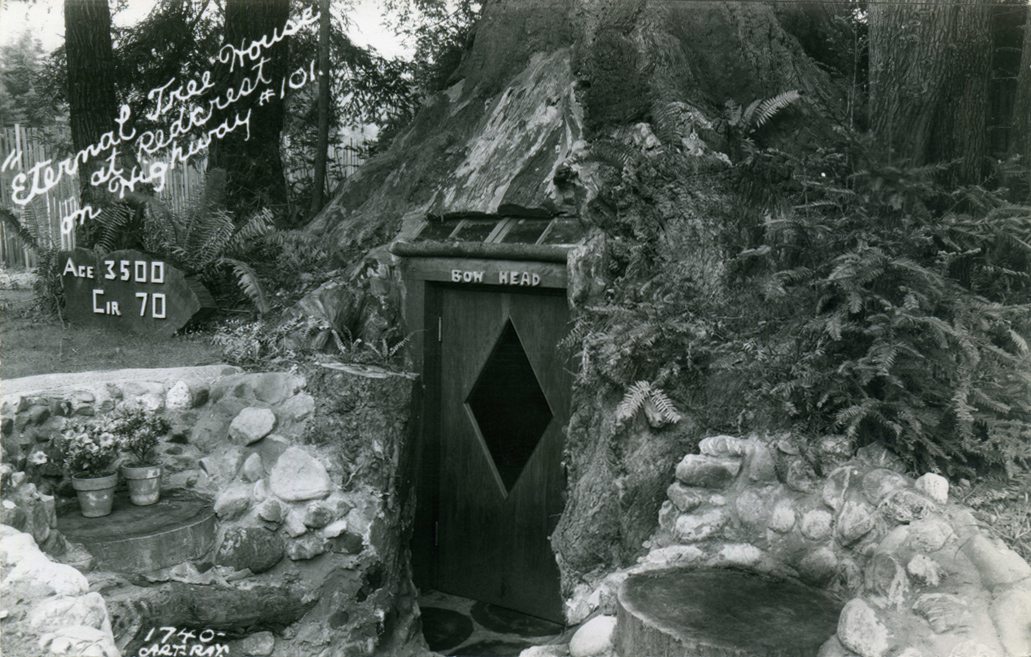 Eternal_Tree_House_at_Redcrest_on_Highway_101