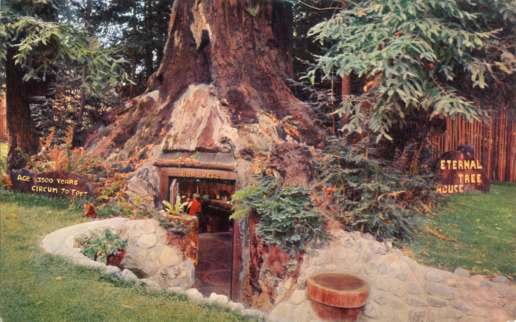 Eternal_Tree_House_at_Redcrest_on_Highway_101_C3069