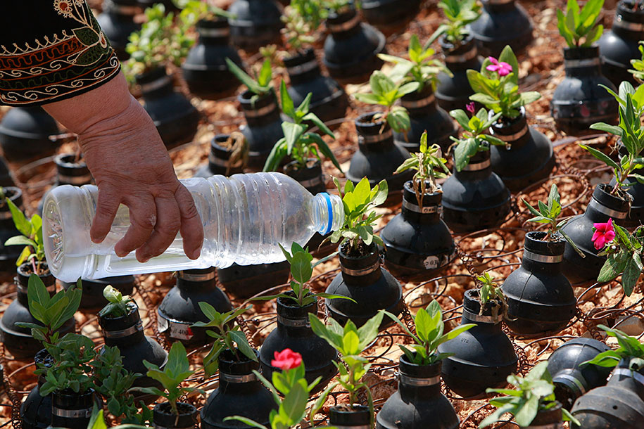 tear-gas-grenade-flower-pots-palestine-2