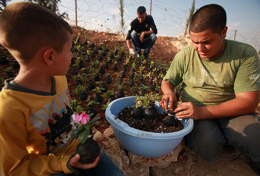 tear-gas-grenade-flower-pots-palestine-3