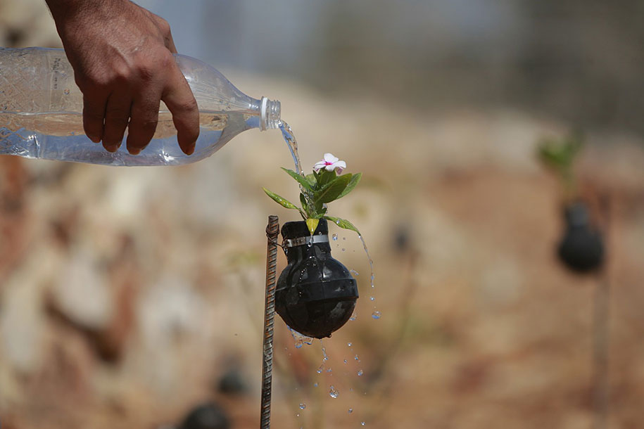 tear-gas-grenade-flower-pots-palestine-7