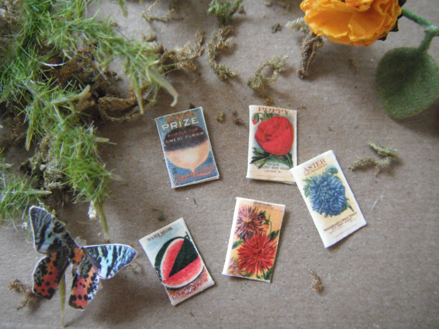 seedpackets