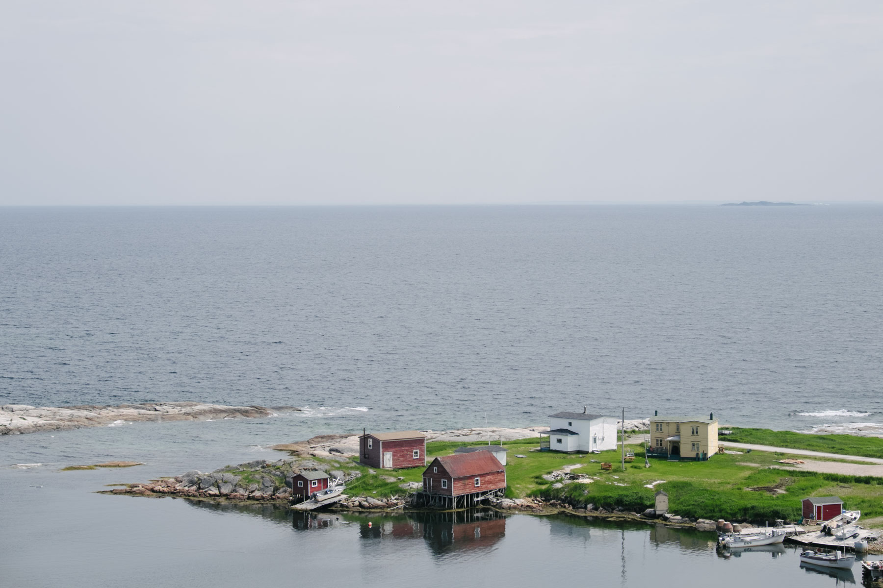 fieldandforest_newfoundland-8