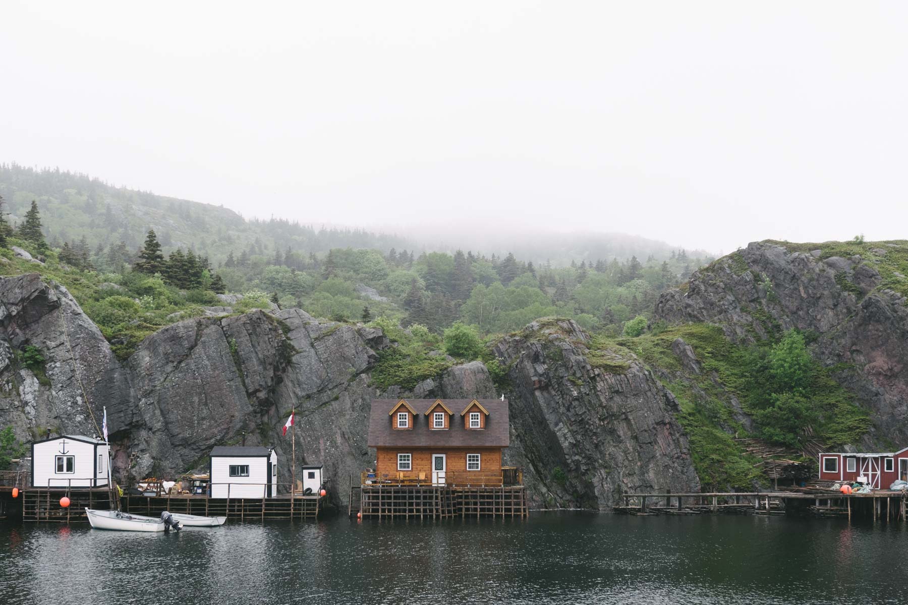 newfoundland