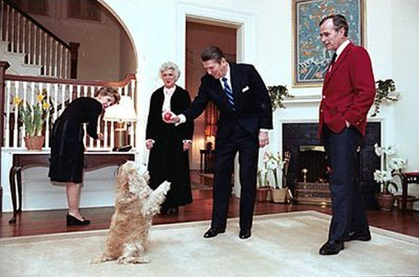 reception-hall-c1985