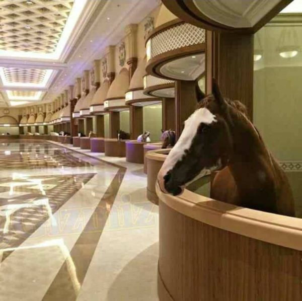 They Built a Luxury Marble Palace for Horses in China