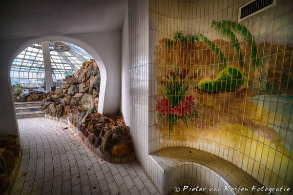 Oh, Just Harvesting Edible Mushrooms inside an Abandoned Water Park