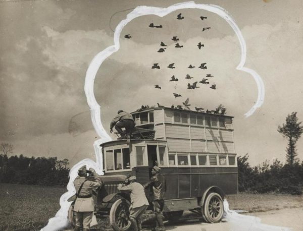 Pigeons of War and their Double Decker Buses
