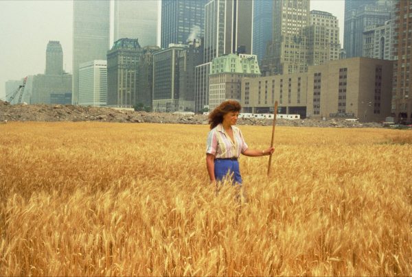 That Time a Wheat Field Grew in Downtown New York