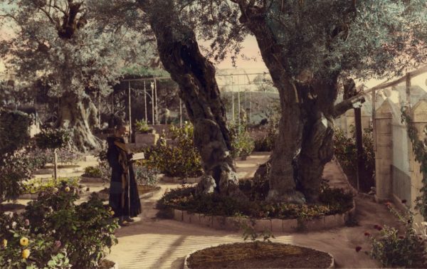 Pictures of a Peaceful Paradise Lost: Palestinians & Jews Co-Existing in 1919