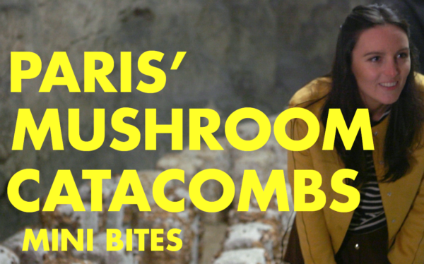 The Parisian Mushroom Catacombs