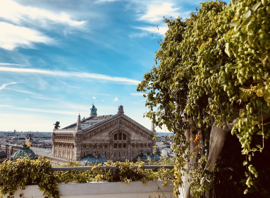 Do you know the rooftop garden of Galeries Lafayette Haussmann