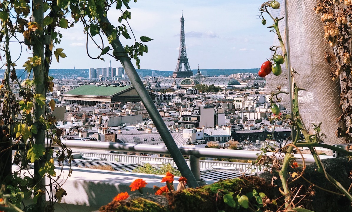 Do you know the rooftop garden of Galeries Lafayette Haussmann