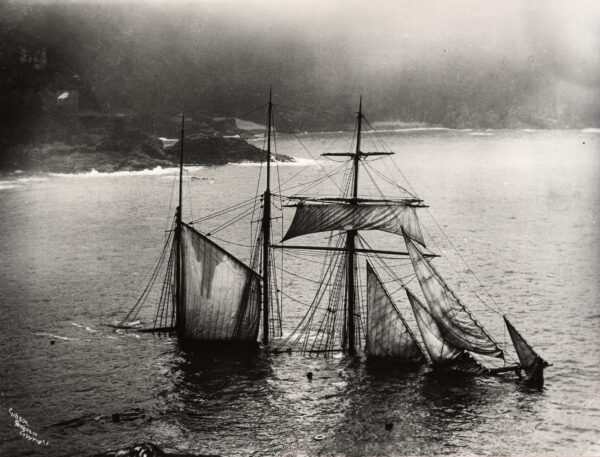 The Gibson Family Album of Shipwrecks