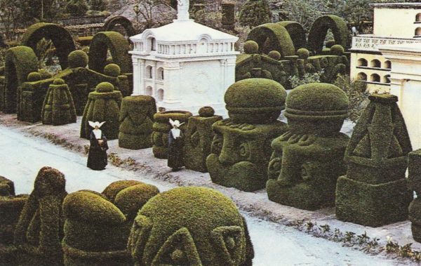 I Have This Thing with Topiaries