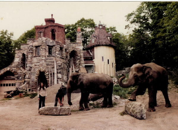 Oh, Just a New York Hippie Castle with Elephants