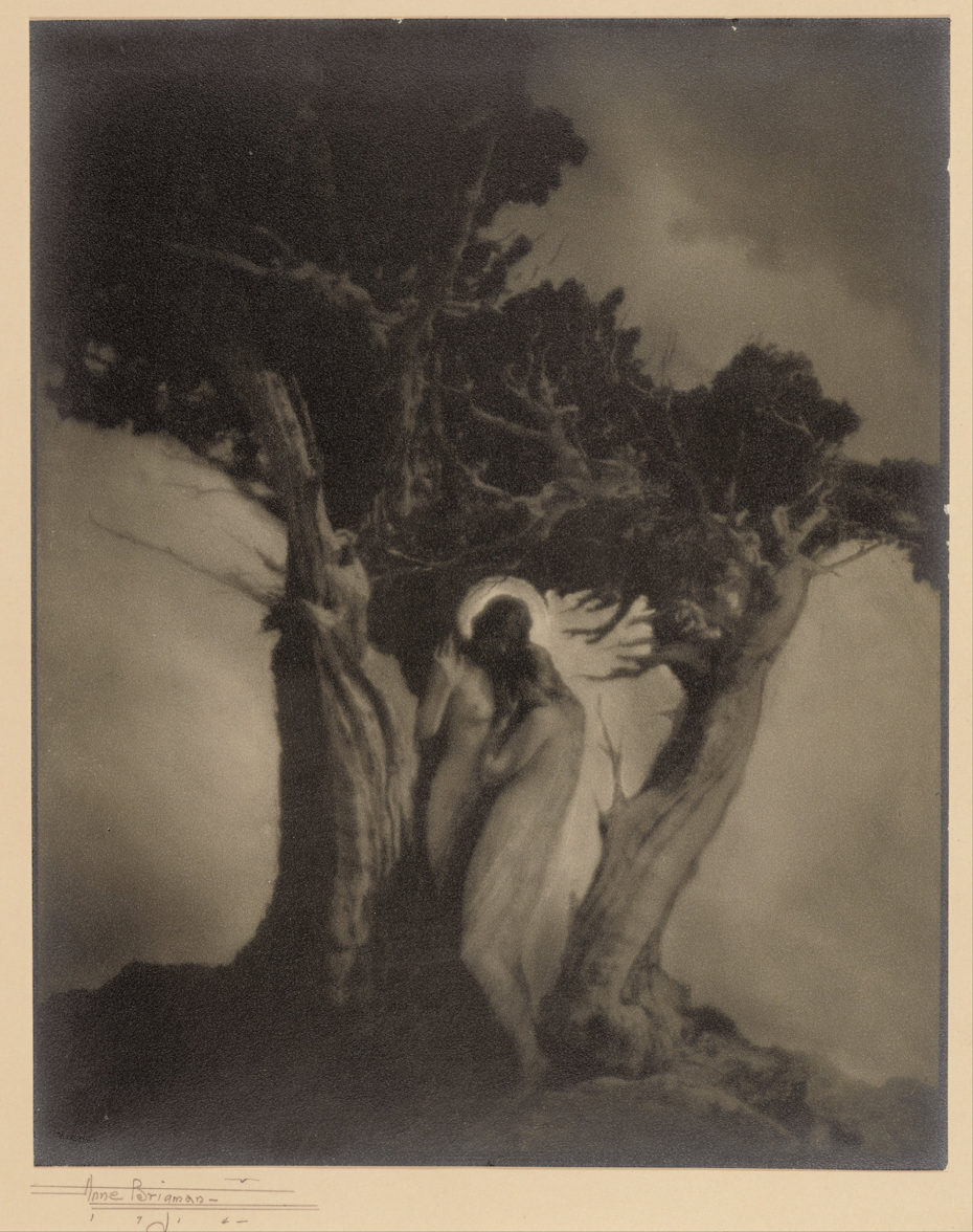 COMO O PICTORIALISMO FEZ DA FOTOGRAFIA ARTE Anne W. Brigman American The Heart of the Storm Google Art Project 1