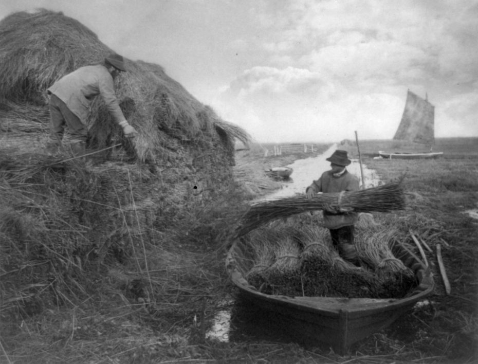 COMO O PICTORIALISMO FEZ DA FOTOGRAFIA ARTE Ricking the reed