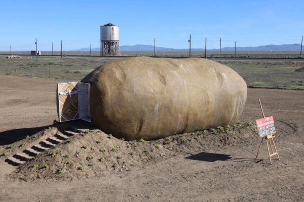 Don’t Judge this Potato Hotel by its er, Skin