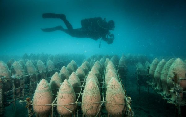 Drink and Dive into Europe’s Underwater Wine cellars