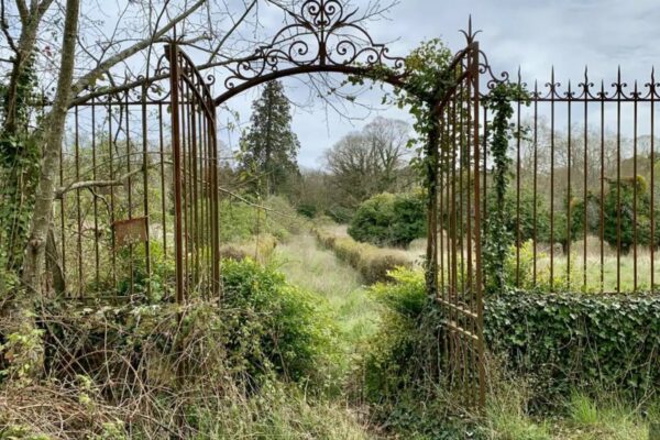 Mother & Daughter Buy an Abandoned Chateau, Invite You to Stay as they Restore It